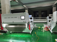 Infrared Stainless Steel Timing Color Sorter Bean