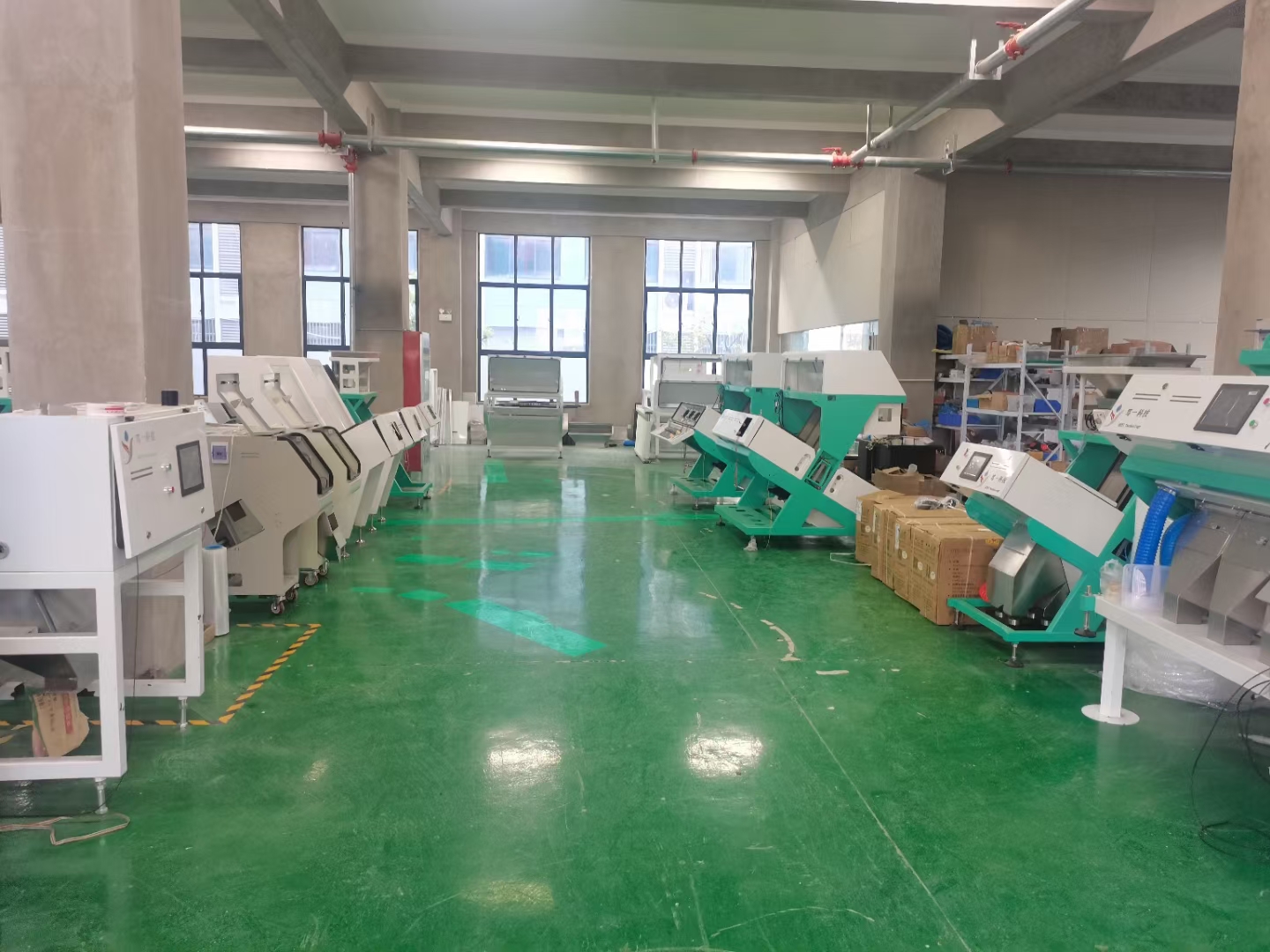 Colour Sorting Equipment Color Sorter for Grains Rgb Colour Sorting Machine